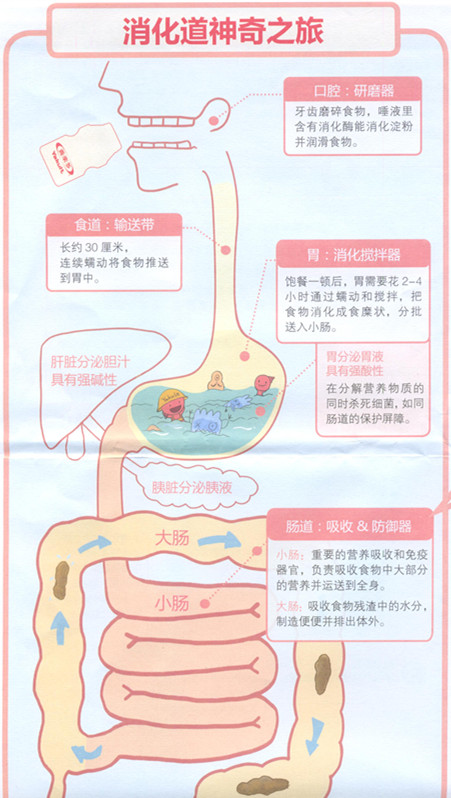 消化之旅.jpg